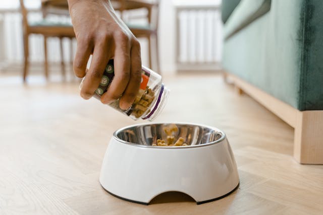 A person putting dog food on the dog bowl