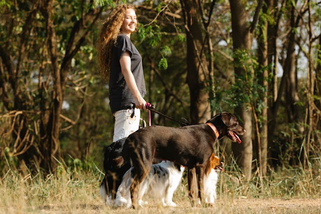 Happy woman with dogs in countryside