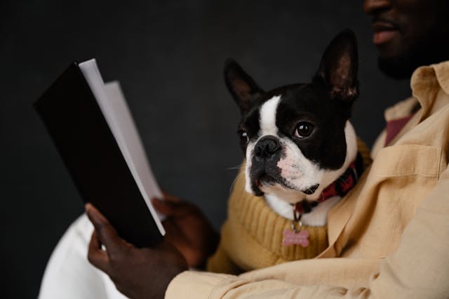 Man with dog reading book